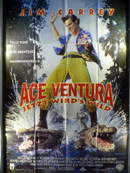 Ace Ventura - Jetzt wird's wild - Jim Carrey - Videoposter 120x80cm gefaltet (g)