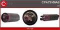 Casco Kraftstoffpumpe Cpa73100As für Audi V8 + A6 C4 + Avant + Coupe B3 88-00