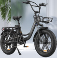 ENGWE 250W 20 Zoll Fat Tire Step-Through E-Bike Pedelec Cityräder Elektrofahrrad