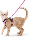 Katzengeschirr Hundegeschirr mit Leine Ausbruchsicher Soft Verstellbar Geschirr~