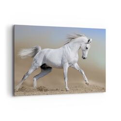 Wandbilder 120x80cm Leinwandbild Pferd wei� Tier Gro� XXL Bilder Art Wanddeko