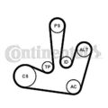 CONTINENTAL CTAM Keilrippenriemensatz  u.a. für MITSUBISHI, NISSAN, OPEL