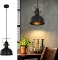 Industrial Design Hängelampe Pendelleuchte 1 Flammig Hängeleuchte + Paulmann LED