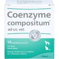 COENZYME COMPOSITUM ad us.vet.Ampullen 10 St PZN15300400