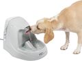 Drinkwell Platinum Trinkbrunnen 5L für Hunde und Katzen, Wasserspender ✅