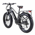 BURCHDA Elektrofahrrad 800W Mountainbike 48V 20ah Fat Luftreifen E-Bike bis 70km