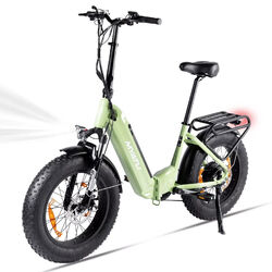 20 Zoll Elektrofahrrad 48V 25Ah Damen/Herren E-Mountainbike 25km/h Moped eBike