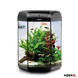 189,00€/Stk. Aquael Aquariumset Hexa 41x41x60cm 60L inkl. Filter, Heizung & LED