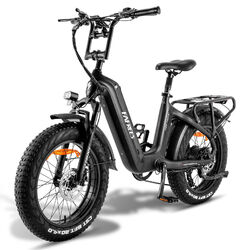 FAFREES FF20 Polar 500W Elektrofahrrad 20 Zoll EBike 20Ah E-Mountainbike FatBike