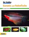 Ihr Hobby Guramis und Fadenfische | Jürgen Schmidt | Buch | 80 S. | Deutsch