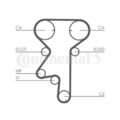 CONTINENTAL CTAM Wasserpumpe + Zahnriemensatz für CT975WP2