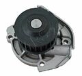 Wasserpumpe Für VW FIAT AUDI PEUGEOT ALFA ROMEO OPEL CBZB AZV CBAA CFFA 1334190