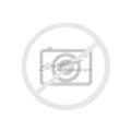 1x Bosch Generatorregler u.a. für Mercedes G-Klasse 463 G Cabrio | 506879