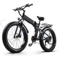 26 Zoll Elektrofahrrad 48V 14AH Trekking eBike 1000W EMountainbike 25km/h E Bike