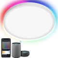 24W Smart LED Deckenleuchte dimmbar Modern Flach Alexa Lampe Keller Flur RGB