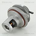 TRISCAN AGR Ventil Für MERCEDES SMART Fortwo W169 W245 6401402060