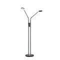 Stehleuchte Wohnzimmerlampe LED Standlampe Dimmbar 2-Flammig H 150 cm Schwarz