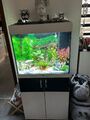 Juwel Lido 120 LED Komplett Aquarium mit Unterschrank