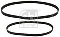 Mehrrippiger Keilriemen Set 40858 FEBI BILSTEIN für FORD NISSAN MAZDA FIAT AUDI