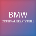 ORIGINAL BMW Hohlschraube Turbolader Ölleitung M10x1.0 20mm 07119907291