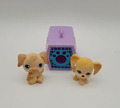 Littlest Pet Shop 2 Hunde + 1 Transportbox/Käfig/Zwinger (Golden Redriever) #286