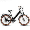 26 Zoll E Mountainbike 750W Elektrofahrrad 48V 20AH Fatbike Trekking ebike