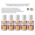 REFIT Stark Kühlendes Pferdebalsam, Schmerz Roll-On mit Beinwell 5x80ml