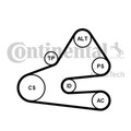 CONTINENTAL CTAM Keilrippenriemensatz 6PK1613K1 für AUDI A4 VW CRAFTER B6 B7 30