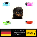Hundehalsband LED Leuchthalsband Hund Hunde leuchtend Leuchtband Halsband Licht