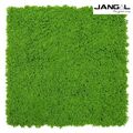 Wandpaneel Jangal Modular Wall 11121 Lime Green Design Moos 52 x 52 cm