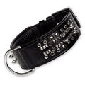 Nobby Hunde Leder Halsband Delgado schwarz, diverse Größen, NEU