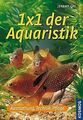 1 x 1 der Aquaristik: Ausstattung, Technik, Pflege von G... | Buch | Zustand gut