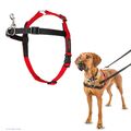 HALTI Front Control Harness, Size Large, Professional Dog Harness to Stop Pullin