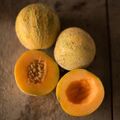 Mini Zuckermelone MINNESOTA MIDGET 10 Samen CUCUMIS MELO süß MELONE 