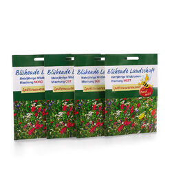 Wildblumen-Mischung "Blühende Landschaft" mehrj. für Spätsommeransaat, Samen 20g