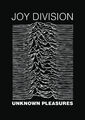 JOY DIVISION UNBEKANNTES VERGNÜGEN POSTER