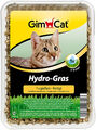 GimCat Hydro-Gras Frisches Katzengras Ergänzungsfuttermittel Schale 150 g