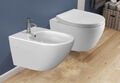 Komplett Set Wand Bidet & Spülrandloses Hänge WC Toilette mit Soft Close Sitz