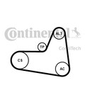 CONTINENTAL CTAM Keilrippenriemensatz 6PK1045K2 für AUDI A3 VW SEAT SKODA GOLF 5