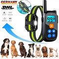 PetTec Erziehungshalsband mit starker Vibration, wasserdichter Ferntrainer 1000m