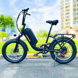 20 Zoll Elektrofahrrad E Mountainbike 750W eBike 48V 15AH Fatbike Trekking ebike