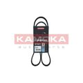 1x Keilrippenriemen KAMOKA 7016062 passend für AUDI SEAT SKODA VW HYUNDAI KIA