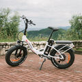 20 Zoll Klapprad Elektrofahrrad 500W E Mountainbike E-Bike Fat Bike 45km/h MTB