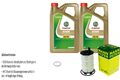 MANN-FILTER Ölfilter 10 L Castrol EDGE 5W-30 LL für Audi Lamborghini R8 Spyder