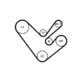 1x Keilrippenriemensatz CONTINENTAL CTAM 6PK1555K4 passend für