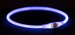 Trixie Leuchthalsband Hund LED-USB Leuchtschlauch Hundehalsband div. Farben!