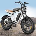 20 Zoll E-Bike 750W Elektrofahrrad E-Mountainbike Fatbike Offroad-Bike 45km/h 