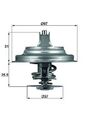 MAHLE (TX 25 87D) Thermostat, Kühlmittel für AUDI SKODA VOLVO VW BENTLEY