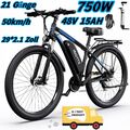 DUOTTS C29 Elektrofahrrad 29Zoll E-Bike 750W E-MTB 48V 15Ah Abenteuer-Bike  +APP