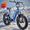 20 Zoll FAFREES F20 Master Elektrofahrrad 500W 48V 22,5 Ah  Fat Tire EBike 60NM